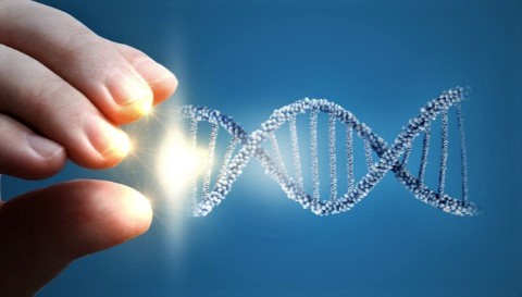 We Won’t Use DNA to Identify the Messiah